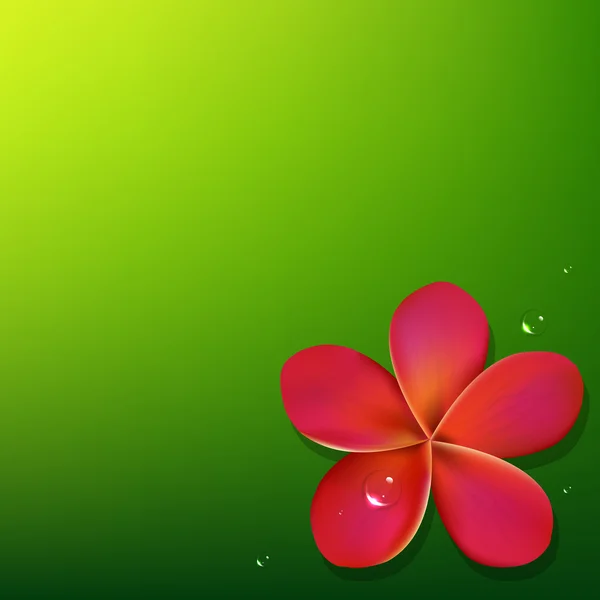 Roze frangipani met groene achtergrond — Stockvector