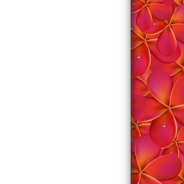 Papier avec Frangipani rose — Image vectorielle