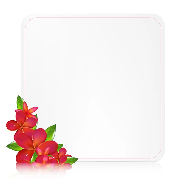 Etiqueta de regalo en blanco con Frangipani rosa — Vector de stock
