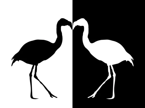 Flamingo - silueta — Vector de stock