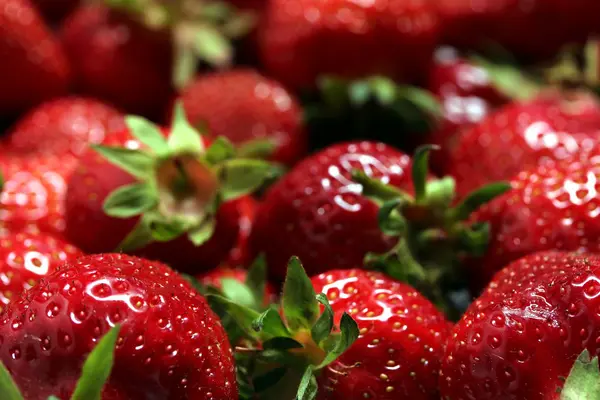 stock image Fresh strawberries