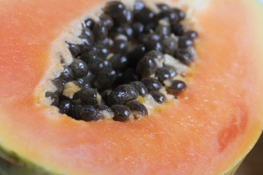 Papaya