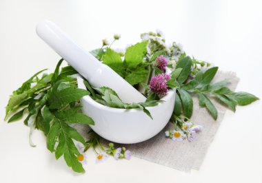 Herbs and Mortar clipart