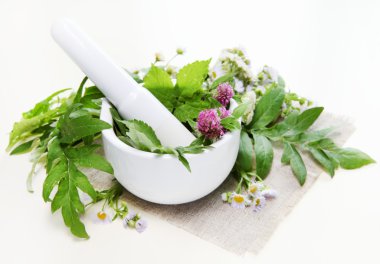 Herbal Spa Composition clipart