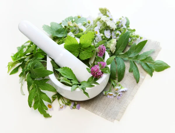 Herbs and Mortar — Stock Photo, Image