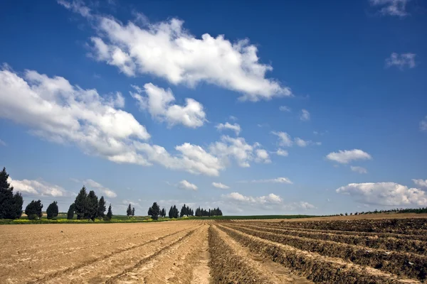 stock image Landscape with agricultural field