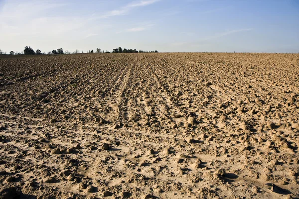 Stock image Landscape with agricultural field