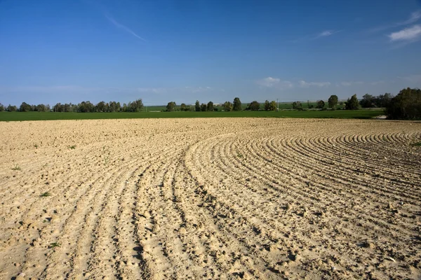 stock image Landscape with agricultural field