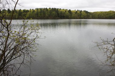 Walden Pond yansıması