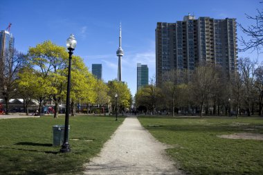 Toronto manzarası