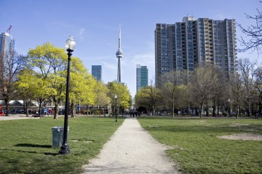 Toronto manzarası