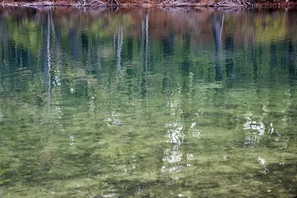 ウォールデンの池の反射 — ストック写真
