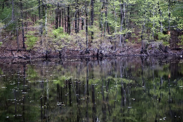 Odbicie w Walden Pond — Zdjęcie stockowe