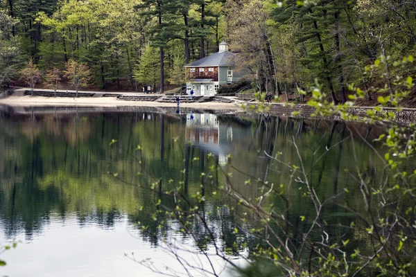 Reflektion i Walden Pond — Stockfoto