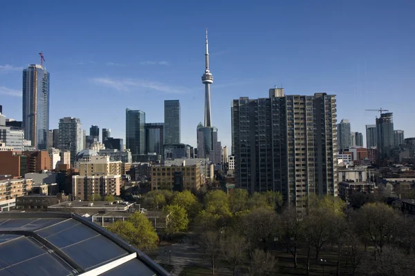 Toronto manzarası