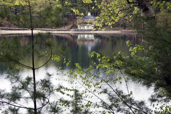 Reflexão em Walden Pond Imagem De Stock