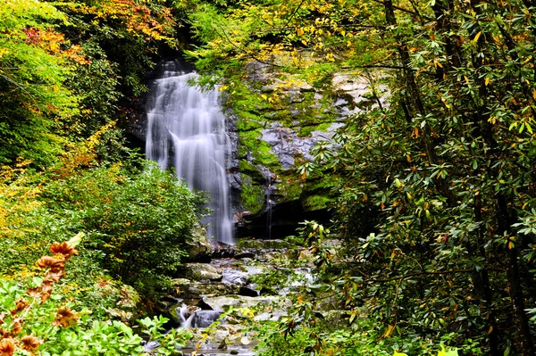 stock image Waterfall and Fall Leaves