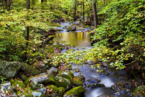 Slow Moving Creek y hojas de otoño — Foto de Stock