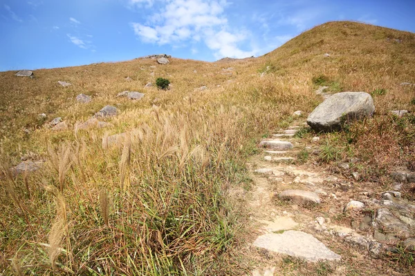 Camino de piedra en las montañas —  Fotos de Stock
