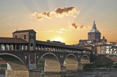 View of Pavia clipart