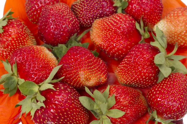 Fresh strawberries on red — Stock fotografie