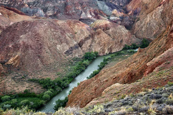 Rivier in charyn canyon — Stockfoto
