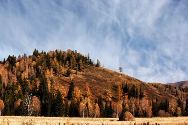 Φθινόπωρο τοπίο στα βουνά — Φωτογραφία Αρχείου