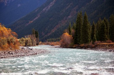 Kazakistan'ın Chilik Nehri