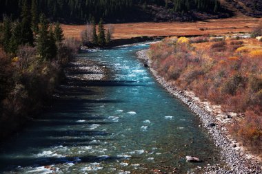 Kazakistan'ın Chilik Nehri