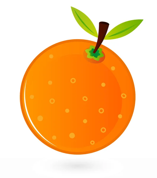 Orange fruit isolated on white — Stock Vector