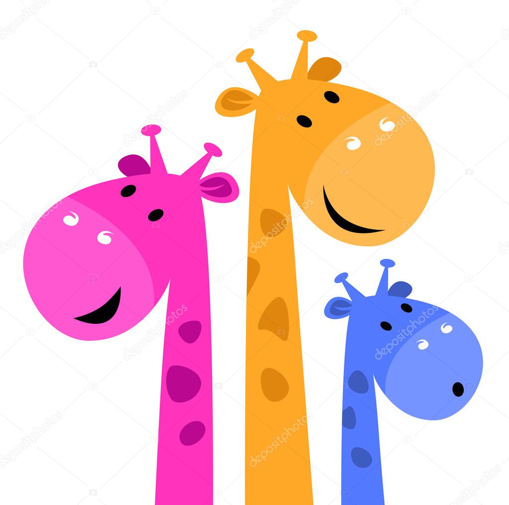 Colorful giraffe family isolated on white