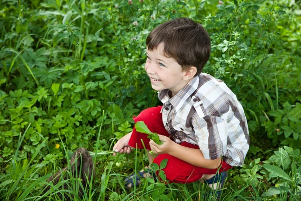 Chłopak karmić króliki w ogrodzie — Zdjęcie stockowe