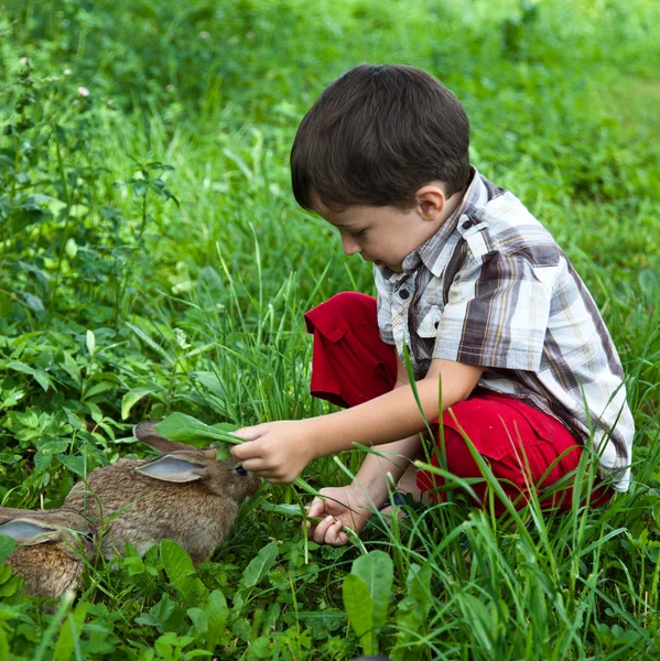 Jongen en kleine konijnen in de tuin Stockfoto