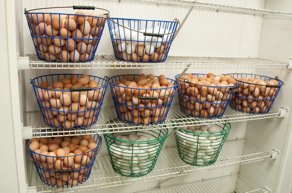 Cabazes de ovos — Fotografia de Stock