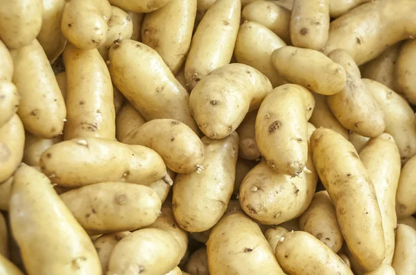 stock image Organic Potatoes