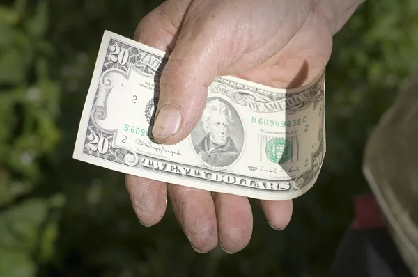 Main d'homme tenant un billet de vingt dollars — Photo