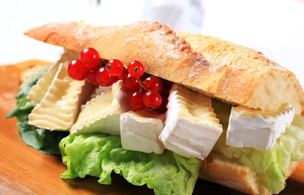 Бутерброд з сиром sub — стокове фото