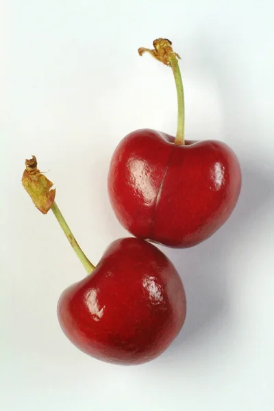Cerezas rojas —  Fotos de Stock