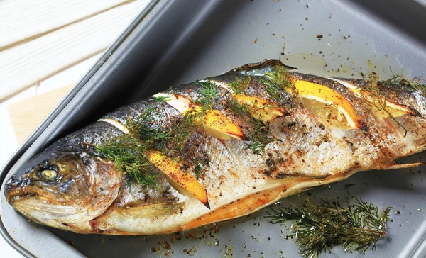 Roasted trout with lemon and dill — Stock Photo, Image
