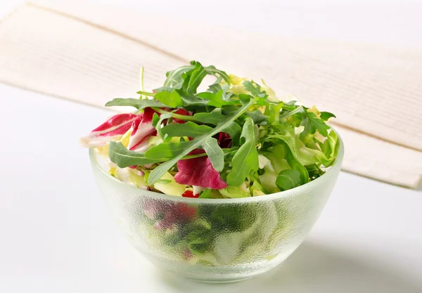 Taze yeşil salata. — Stok fotoğraf