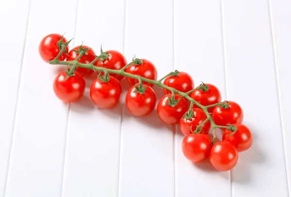 Свежие красные томаты — стоковое фото