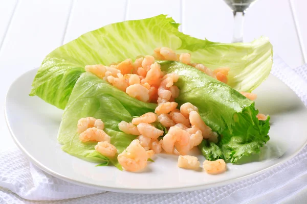 Shrimps on lettuce leaves — Stock Photo, Image