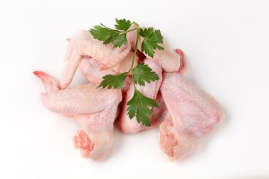 Raw chicken wings clipart