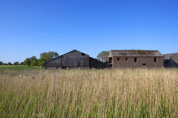 Old barns and reed beds — Stock Photo, Image