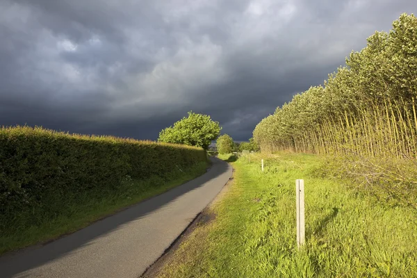 Summer storm clouds over landscape — Stock Photo, Image