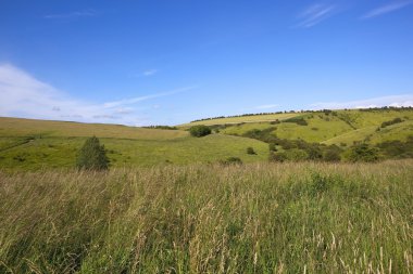 Grassy summer hillside clipart