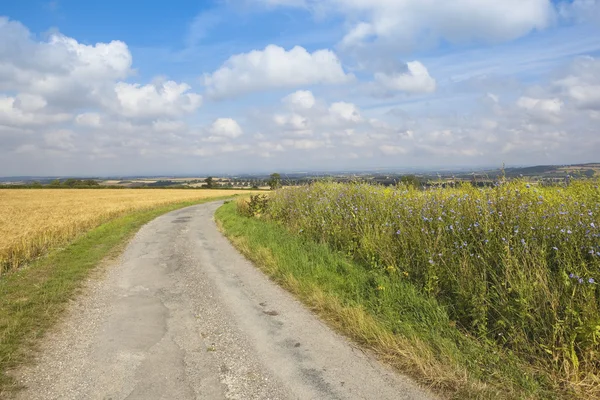 August on the wolds — Stock Photo, Image