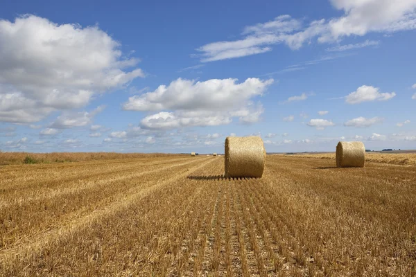 Round bales at harvest time — Stock Photo, Image