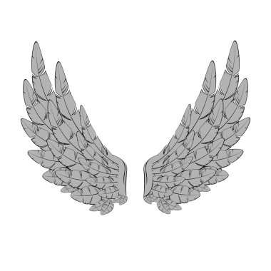 Vector wings clipart