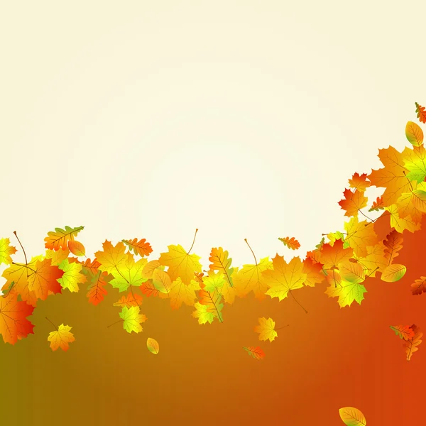 Πολύχρωμα φύλλα — Διανυσματικό Αρχείο